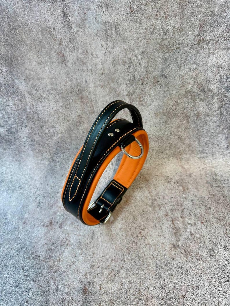 May include: A black and orange leather dog collar with a handle. The collar features a silver-colored buckle and a D-ring for leash attachment. The collar is made of black leather with orange padding and stitching.