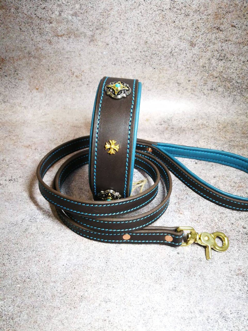 Pu&ograve; includere: Un set di collare e guinzaglio per cani in pelle marrone con dettagli e cuciture blu turchese. Il collare presenta decorazioni decorative in metallo argentato e dorato. Il guinzaglio ha un moschettone color ottone.