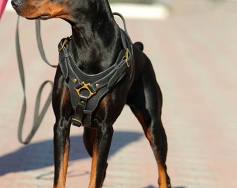 Luxury Leather Dog Harness with Handle, Custom Leather Dog Harness, Agitation Protection Training Leather Dog Harness, Padded Dog Harness