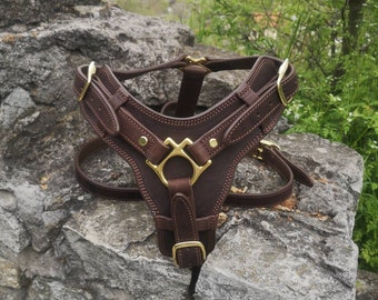 Handmade Leather Dog Harness with Handle, Brass Hardware Dog Harness, Padded Dog Harness, Brown Leather Dog Harness, Custom Dog Harness