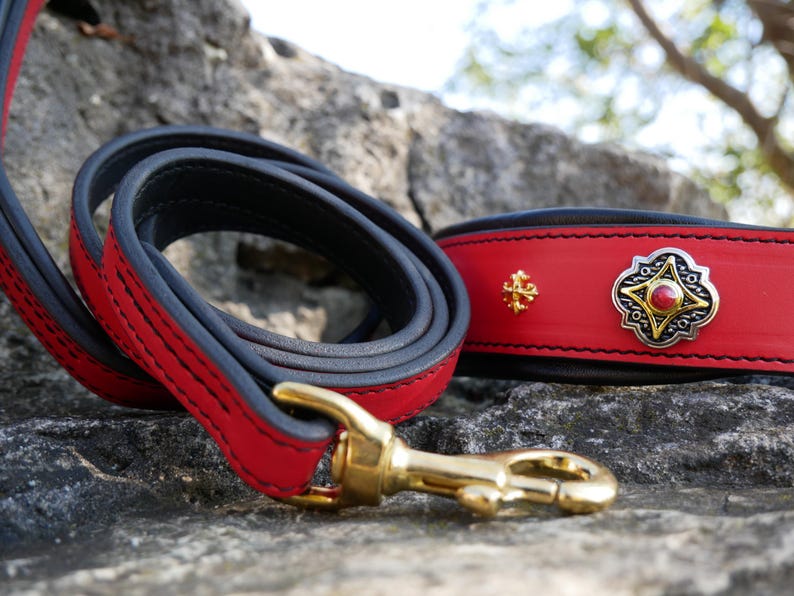 May include: A red and black leather dog collar and lead set. The lead is coiled, with a gold-coloured clasp. The collar is red with gold and silver embellishments. The set is designed for a pet.