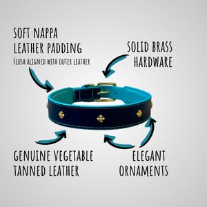 May include: A navy blue and turquoise dog collar with gold-colored ornaments and hardware. The collar features soft Nappa leather padding, genuine vegetable-tanned leather, and solid brass hardware. The text on the image reads: "SOFT NAPPA LEATHER PADDING", "SOLID BRASS HARDWARE", "GENUINE VEGETABLE TANNED LEATHER", and "ELEGANT ORNAMENTS".