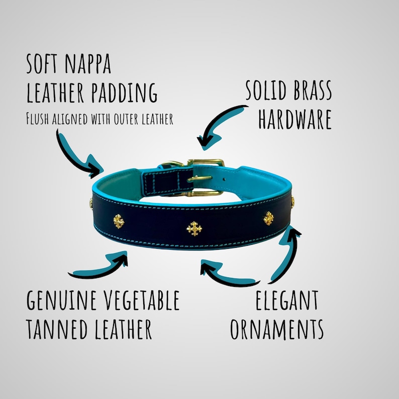 May include: A navy blue and turquoise dog collar with gold-colored ornaments and hardware. The collar features soft Nappa leather padding, genuine vegetable-tanned leather, and solid brass hardware. The text on the image reads: "SOFT NAPPA LEATHER PADDING", "SOLID BRASS HARDWARE", "GENUINE VEGETABLE TANNED LEATHER", and "ELEGANT ORNAMENTS".