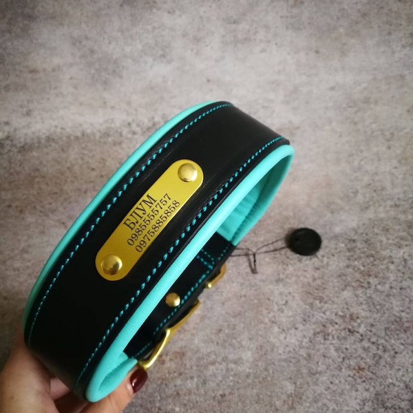 Personalised Black and Turquoise Leather Soft Padded Dog Collar, Padded Dog Collar with brass nameplate