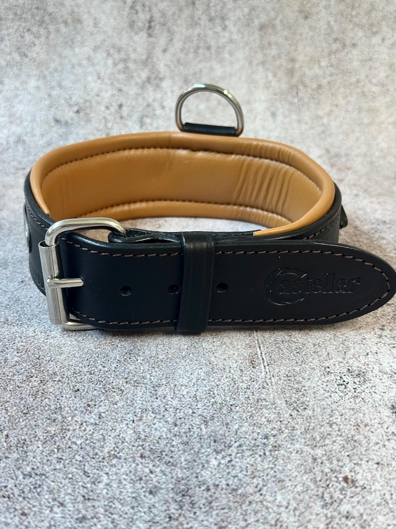 May include: A black leather dog collar with a tan padded interior. The collar features a silver-colored buckle and a D-ring for leash attachment. The brand name "Fasteller" is embossed on the leather.