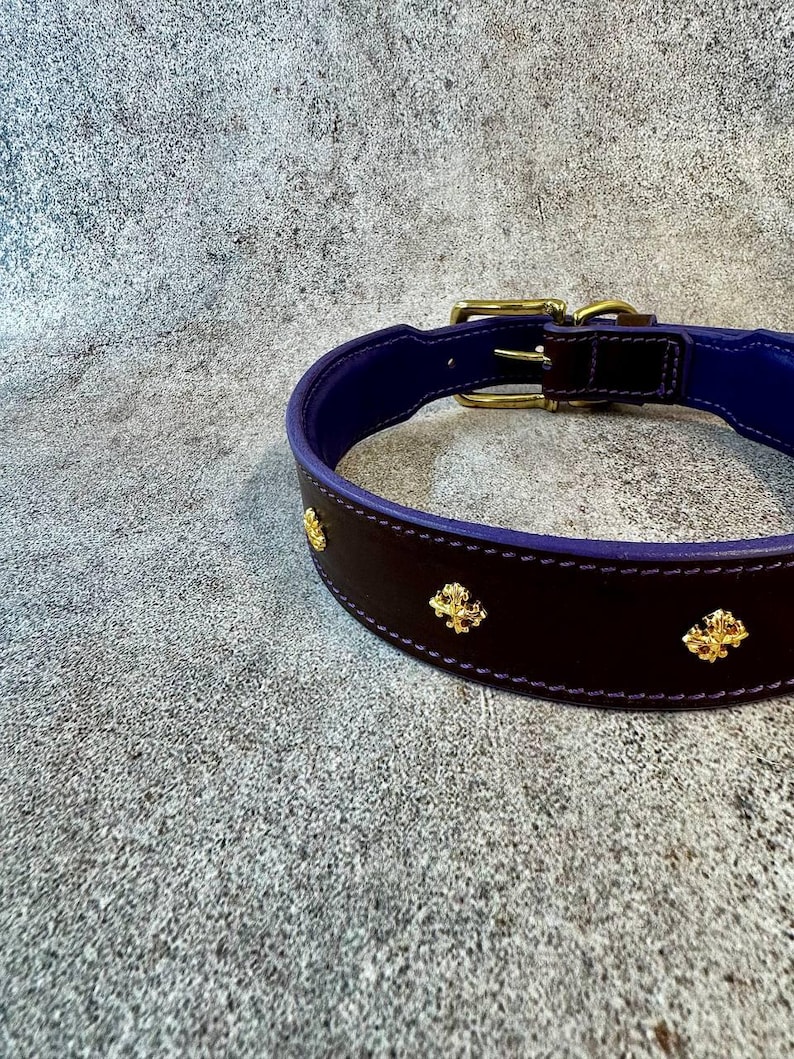 May include: A dark brown leather collar with a vibrant purple interior lining and gold-toned stitching. The exterior features evenly spaced gold-colored metal emblems shaped like fleur-de-lis. It includes a gold-toned metal buckle and loop.