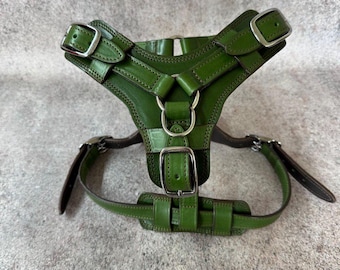 No Pull Leather Dog Harness and Leash Set, Front Clip Harness with Handle, Heavy Duty Padded Harness for Large Dogs