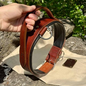 May include: A brown leather dog collar with a handle, black lining, and silver metal hardware. The collar is thick and sturdy, with a matching brown leather tag. The collar is shown on a light-colored surface.
