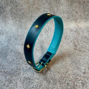 May include: A black and teal dog collar with gold-colored studs and hardware. The collar is made of leather and has a teal interior. The hardware includes a buckle and a D-ring.
