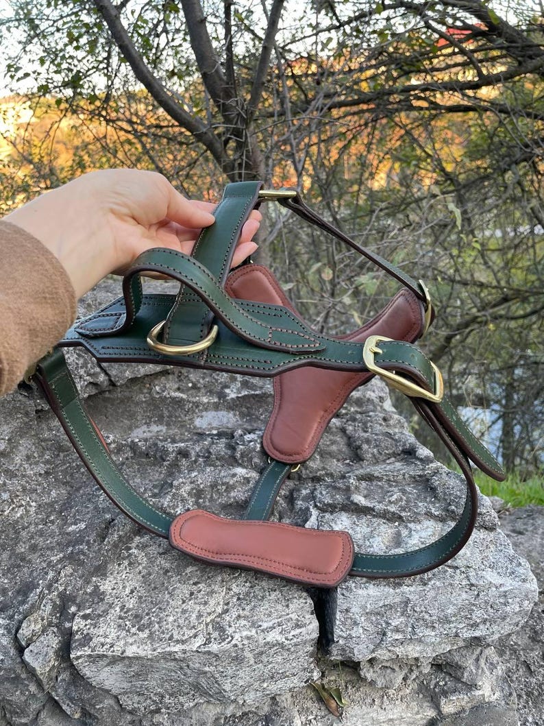 May include: A green and brown leather dog harness with brass-colored hardware. The harness features a saddle-like design with adjustable straps and a D-ring for leash attachment. The harness is displayed on a rock.