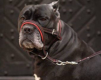 Premium Leather Dog Headcollar & Leash Set, Soft Padded Head Halter No Pull Training Solution, Gentle Face Harness for Large Breed Dogs