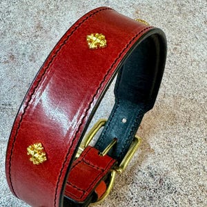 May include: Red leather dog collar with gold-colored decorative accents. The collar features a black interior and a brass buckle. The leather has a glossy finish and is stitched with black thread. The collar is designed for a medium to large dog.
