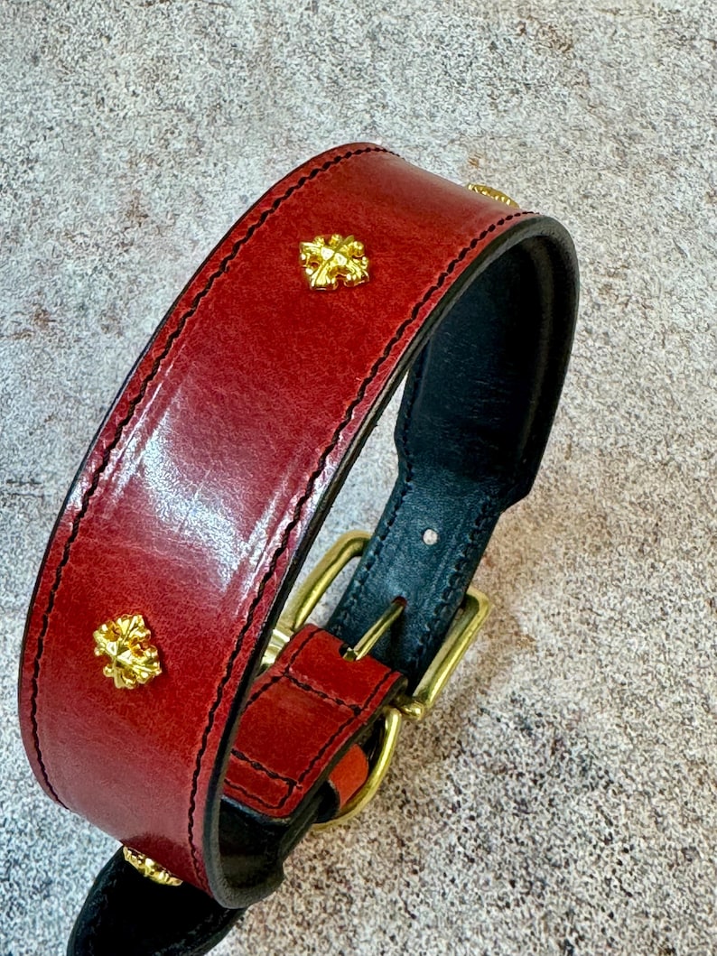 May include: Red leather dog collar with gold-colored decorative accents. The collar features a black interior and a brass buckle. The leather has a glossy finish and is stitched with black thread. The collar is designed for a medium to large dog.