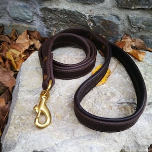Può includere: Un guinzaglio per cani in pelle marrone con una fibbia in metallo dorato. Il guinzaglio è appoggiato su una roccia grigia con foglie marroni sparse intorno.