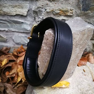 May include: A black leather dog collar with a brass buckle. The collar is thick and padded, with stitching along the edges. The background includes a stone wall and autumn leaves.