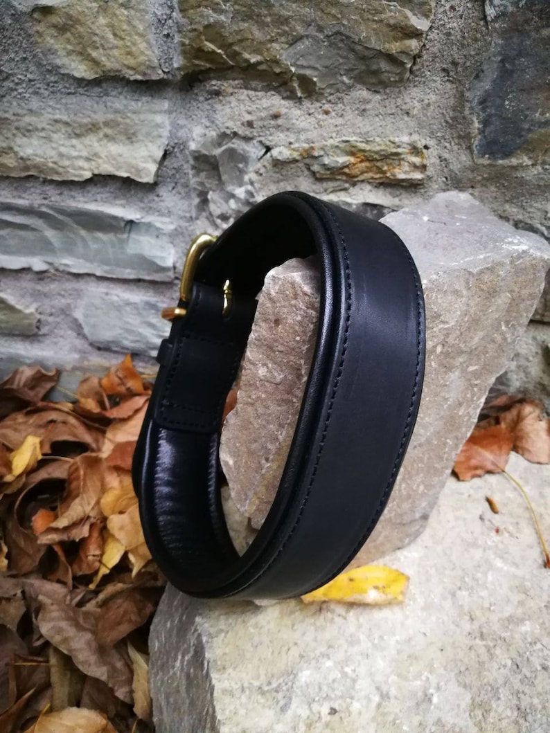 May include: A black leather dog collar with a brass buckle. The collar is thick and padded, with stitching along the edges. The background includes a stone wall and autumn leaves.
