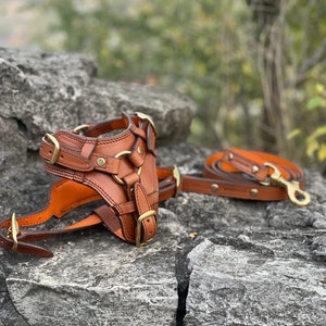 Leather Dog Harness and Leash Set, Y-Front Leather Dog Harness Padded, Anatomic Dog Harness, Bulldog, German Shepherd, Great Dane