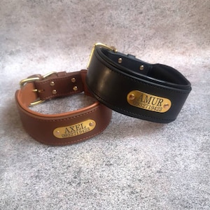 Leather Dog Collar Personalized Dog Collar with Name Plate Leather Collar 3 in Wide Padded Dog Collar for Large Breed, 2 in Leather Collar