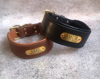 Leather Dog Collar Personalized Dog Collar With Name Plate Leather