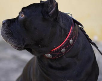Western Leather Dog Collar with Conchos & Short Braided Traffic Leash Set, Red Padded Lining, Heavy Duty Stainless Steel for Large Breeds