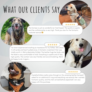 Pode incluir: Imagem com c&atilde;es usando arreios de couro. A imagem inclui depoimentos de clientes com frases como "qualidade fant&aacute;stica" e "arn&ecirc;s de couro incr&iacute;vel". O texto "WHAT OUR CLIENTS SAY" est&aacute; no topo.