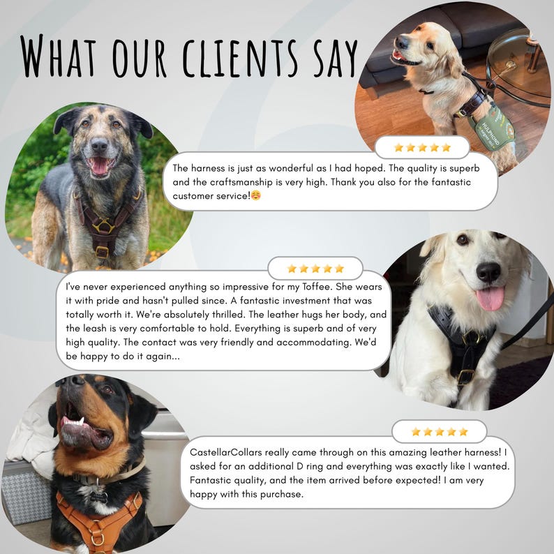 Pode incluir: Imagem com c&atilde;es usando arreios de couro. A imagem inclui depoimentos de clientes com frases como "qualidade fant&aacute;stica" e "arn&ecirc;s de couro incr&iacute;vel". O texto "WHAT OUR CLIENTS SAY" est&aacute; no topo.