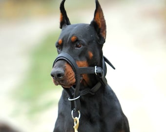 Arnés de cabeza para perro, cabestro para perro, arnés de cabeza para Doberman, Pastor Alemán, Rottweiler, arnés para perros grandes, collar de cabeza antitirones