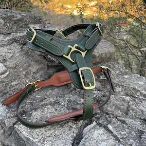 Premium Leather Dog Harness with Handle, Luxury Harness for Large Dogs, Doberman, German Shepherd, Cane Corso, Great Dane, Mastiff, Pitbull
