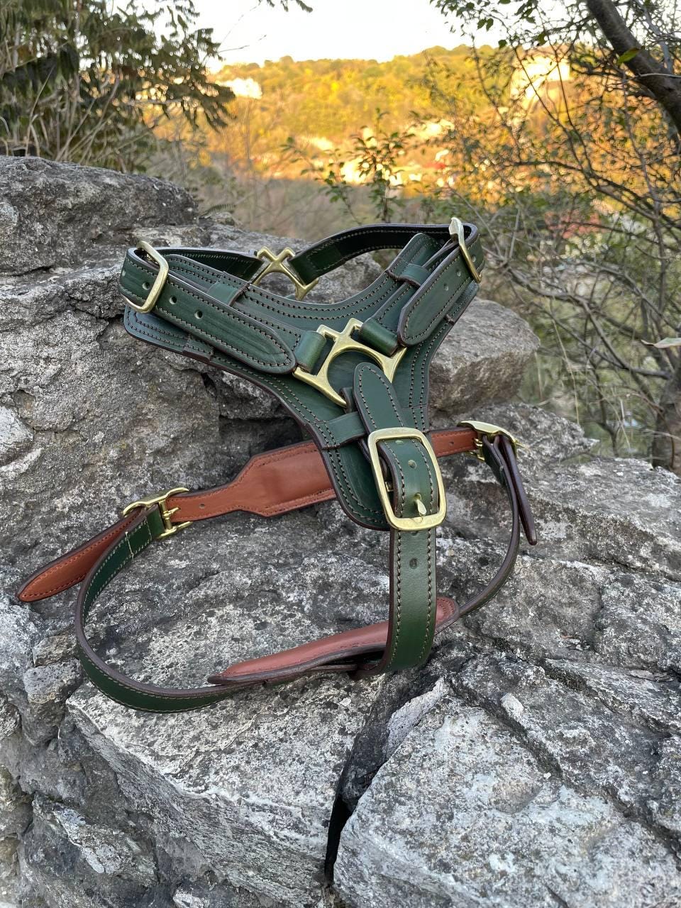 Buy Great Dane Harness Online In India India