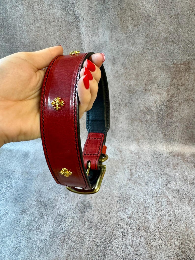 May include: A red leather dog collar with gold-colored decorative accents. The collar features a brass buckle and a black interior lining. The collar is designed with a classic style and is suitable for medium to large dog breeds.