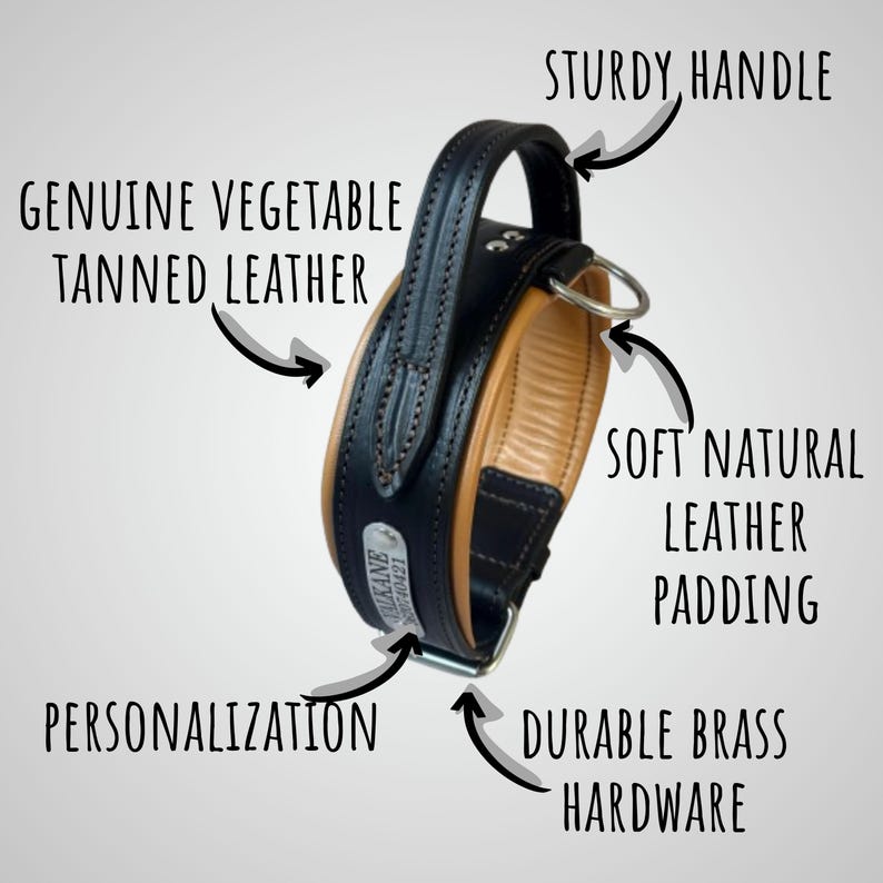 Leather Dog Collar with Handle, Wide Padded Training Collar with Nameplate image 3