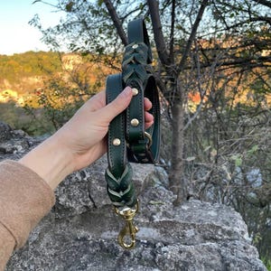 May include: Dark green leather dog leash and collar set with gold-colored hardware. The leash features a braided design at the handle and a brass-colored clasp. The collar has matching gold-colored rivets and a buckle. The set is held up against a natural outdoor background.
