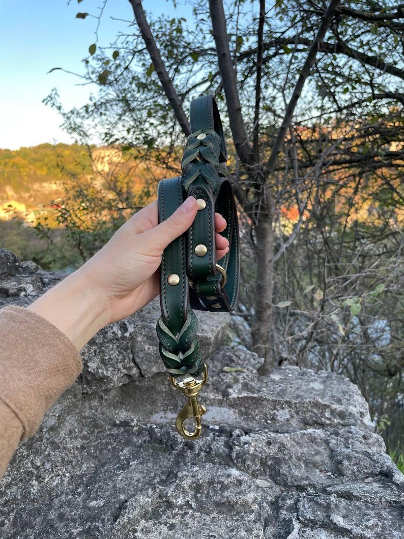 May include: Dark green leather dog leash and collar set with gold-colored hardware. The leash features a braided design at the handle and a brass-colored clasp. The collar has matching gold-colored rivets and a buckle. The set is held up against a natural outdoor background.