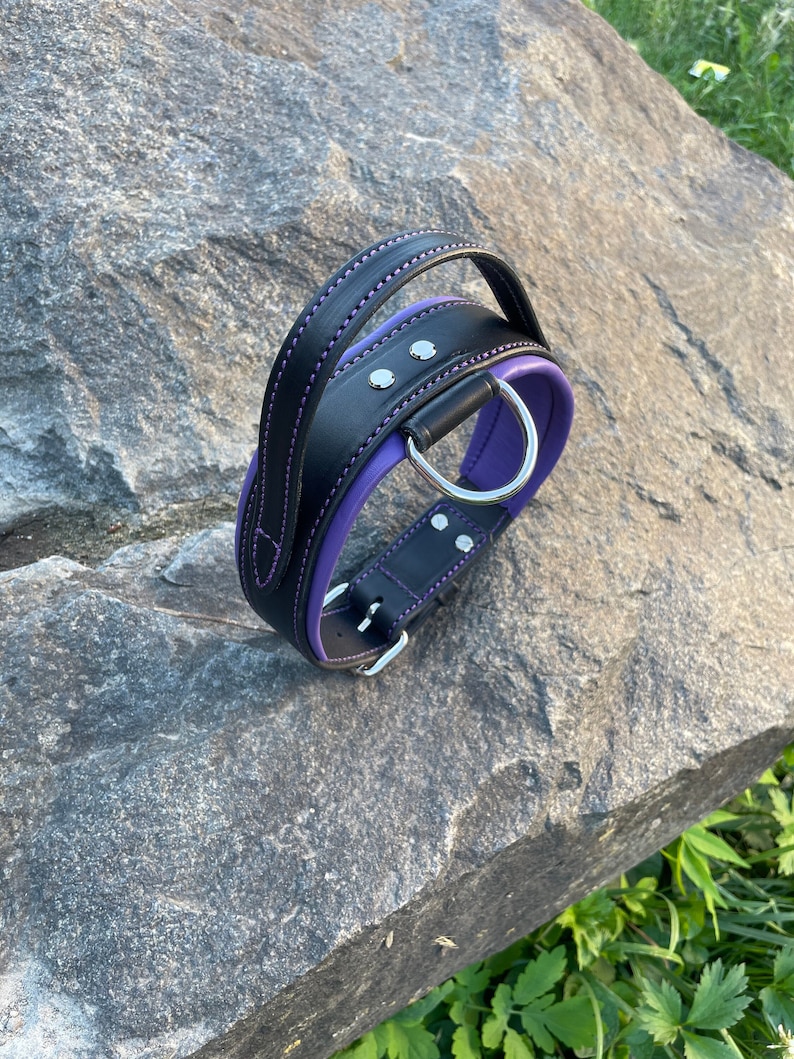 handle leatherdog collar wide padded