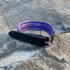 May include: A black leather dog collar with a purple padded interior. The collar features a silver-colored buckle and a D-ring for leash attachment. The stitching is purple, adding a contrasting detail to the design.
