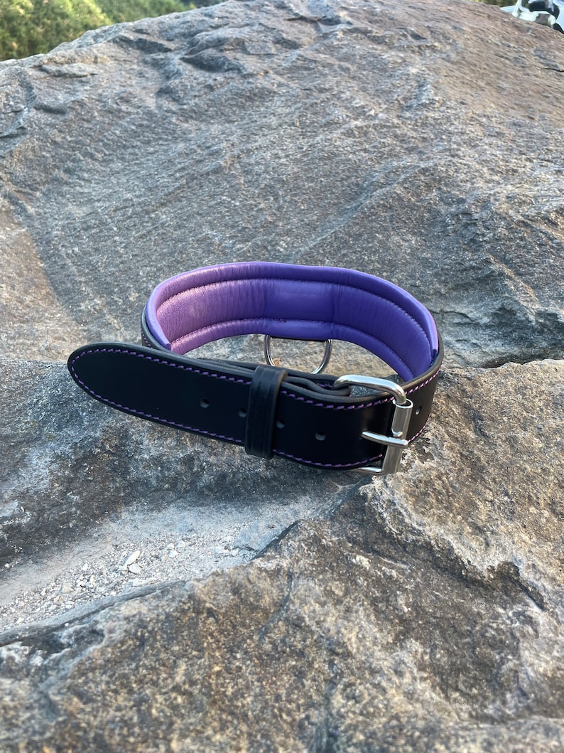 May include: A black leather dog collar with a purple padded interior. The collar features a silver-colored buckle and a D-ring for leash attachment. The stitching is purple, adding a contrasting detail to the design.