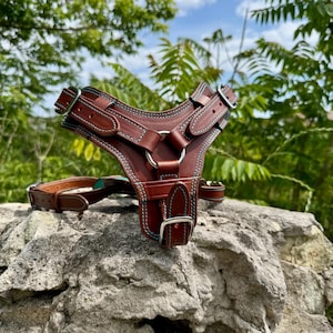 Luxury leather dog harness and leash for large breed