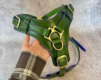 Green Leather Dog Harness with Padded Handle & Front D-Ring, Y Shape No Pull Harness, Solid Brass Gear for Cane Corso, Doberman