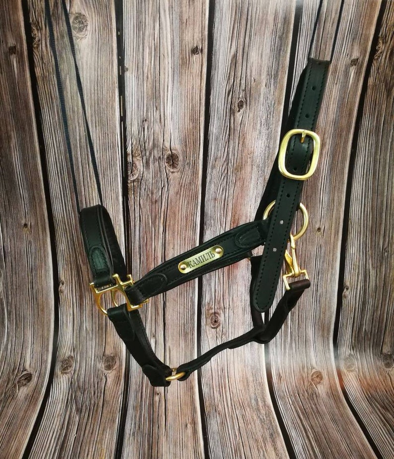 Custom Name Leather Horse Halter With Engraved Golden Etsy