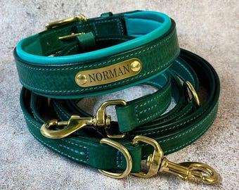 Forest Green and Turquoise Leather Dog Set: 8ft Hands-Free Multi Purpose Leash & Padded Collar with Solid Brass ID Nameplate. Handmade Gear