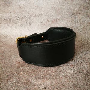 May include: A black leather dog collar with a brass buckle and stitching. The collar is wide and has a rounded shape.