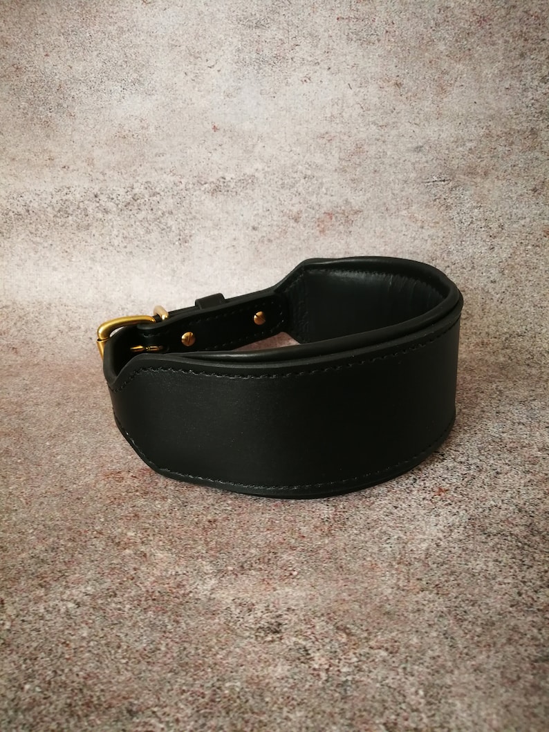 May include: A black leather dog collar with a brass buckle and stitching. The collar is wide and has a rounded shape.