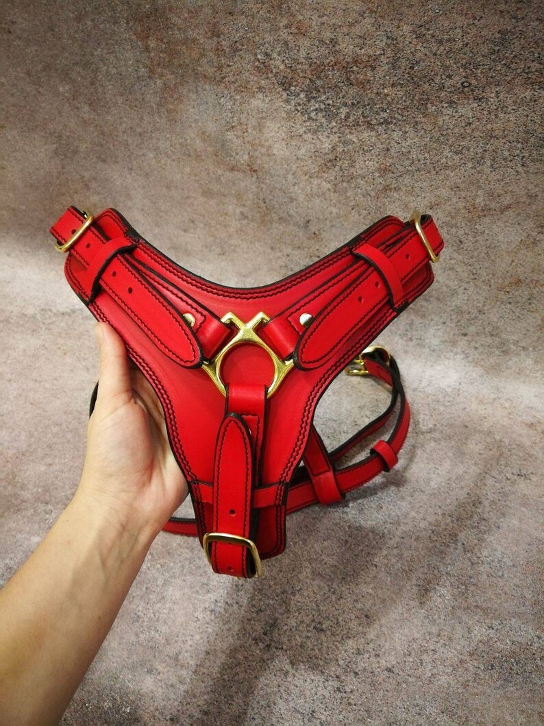 Red Leather Dog Harness Etsy