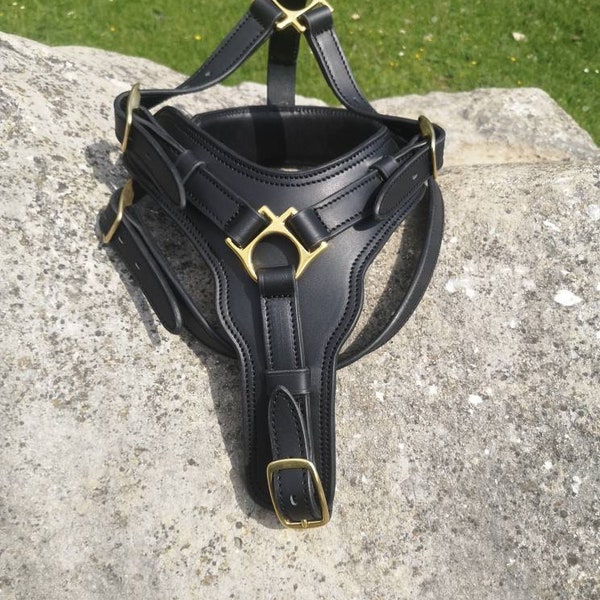 Soft-padded Leather Dog Harness with handle, Leather Dog Harness with solid brass hardware