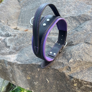 May include: A black leather dog collar with a purple interior and handle. The collar features silver-toned rivets and a metal D-ring for leash attachment. The collar is set against a natural stone background.