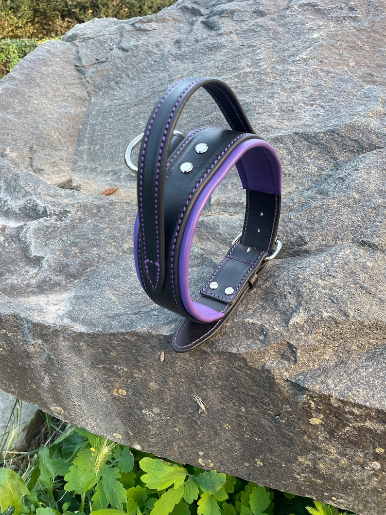 May include: A black leather dog collar with a purple interior and handle. The collar features silver-toned rivets and a metal D-ring for leash attachment. The collar is set against a natural stone background.