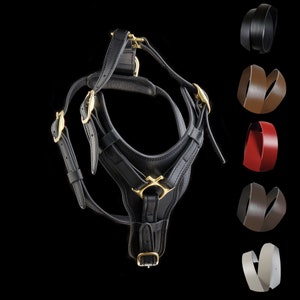 Leather Dog Harness, Black Leather Harness for Medium Big Dogs, Brass Hardware Harness, Black Leather Solid Brass Quality Dog Harness