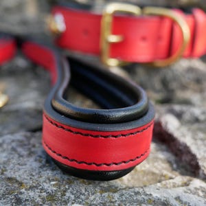 May include: Close-up of a red and black leather dog leash handle with black stitching. A matching red dog collar with a gold buckle is in the background. The leash and collar are on a stone surface.