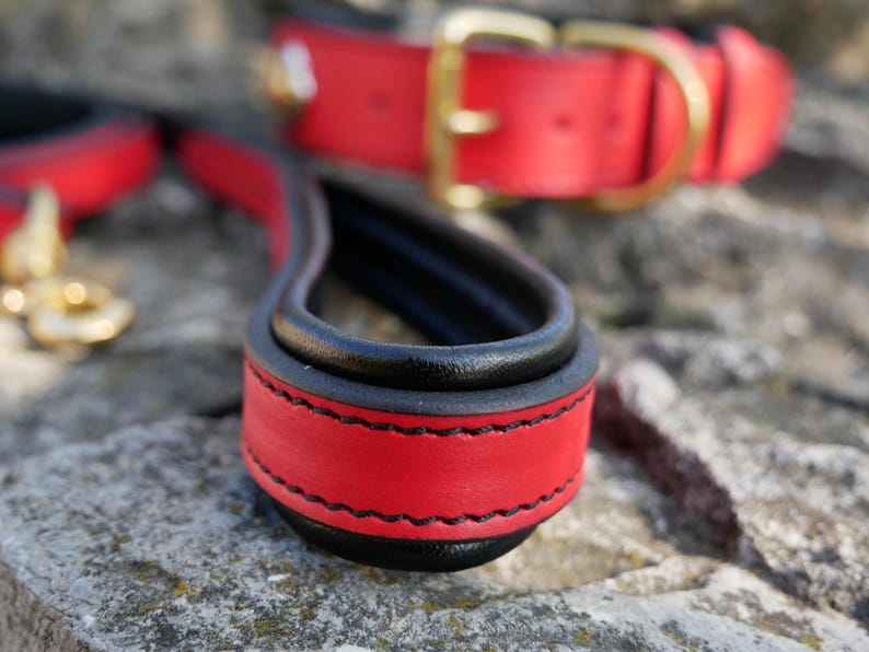 May include: Close-up of a red and black leather dog leash handle with black stitching. A matching red dog collar with a gold buckle is in the background. The leash and collar are on a stone surface.
