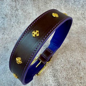 May include: A dark brown leather collar featuring a vibrant purple interior lining and purple stitching along the edges. The exterior is decorated with evenly spaced gold-toned metal cross-shaped studs and includes a gold-toned metal buckle closure.